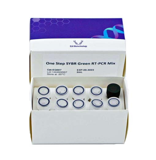 Mezcla One Step SYBR Green de RT-PCR - Image 2
