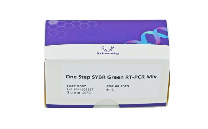 Mezcla One Step SYBR Green de RT-PCR