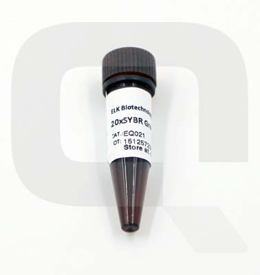 Tinte SYBR Green 20X