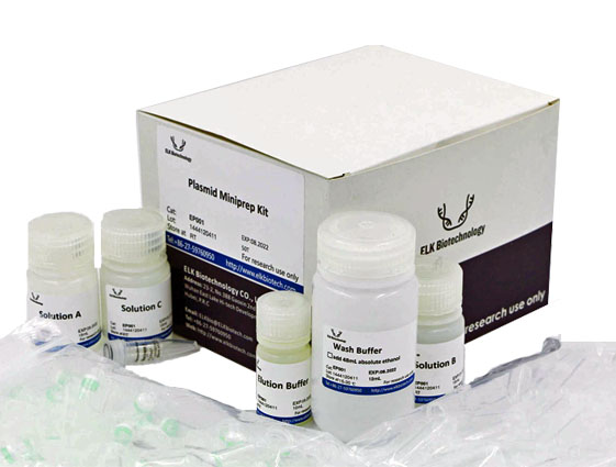 Kit de MiniPrep de plásmidos
