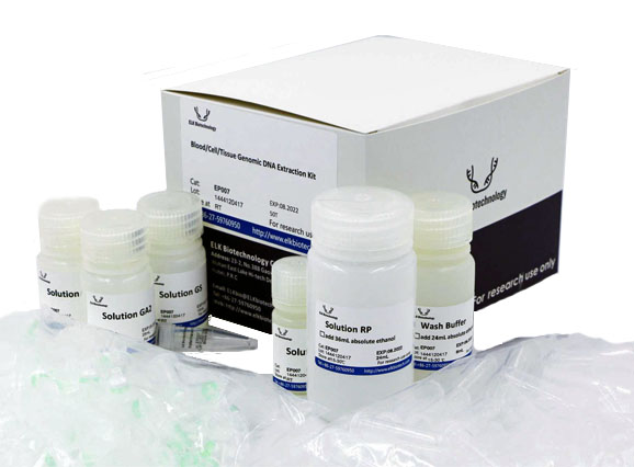 Kit de extracción de ADN genómico de sangre, células y tejidos