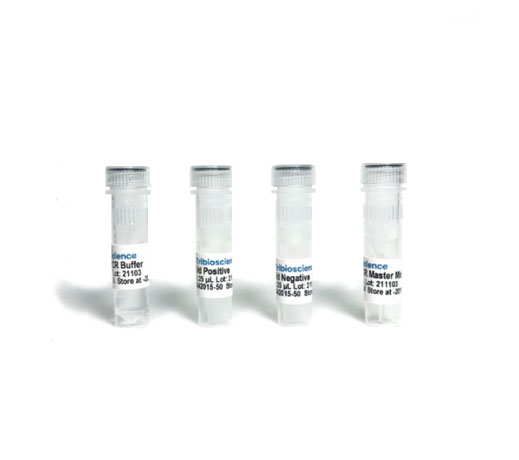 Detección de virus latente del lúpulo (HLVD) método RT-qPCR
