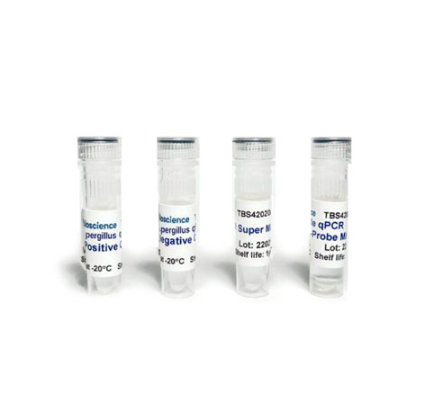 Detección universal de Aspergillus mediante qPCR TaqMan