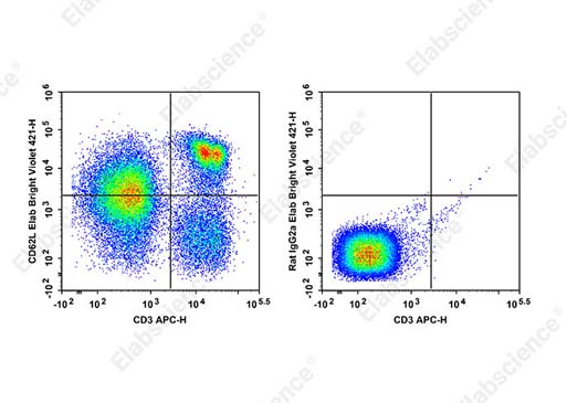 Elab Bright™ Violet 421 Anti-Mouse CD62L Antibody[MEL-14]