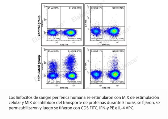 Kit de estimulación celular e inhibidor del transporte de proteínas