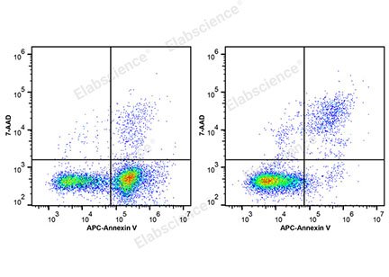 Reactivo 7-AAD (100 μg/mL)