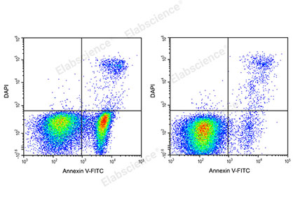 Reactivo DAPI (25μg/mL)