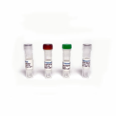 Mezcla maestra de sonda qPCR