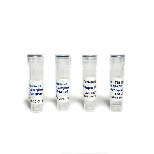 Detección de Aspergillus Flavus mediante PCR TaqMan